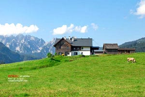 從西安走天水到甘南，一路應(yīng)該怎樣安排住宿和休息？